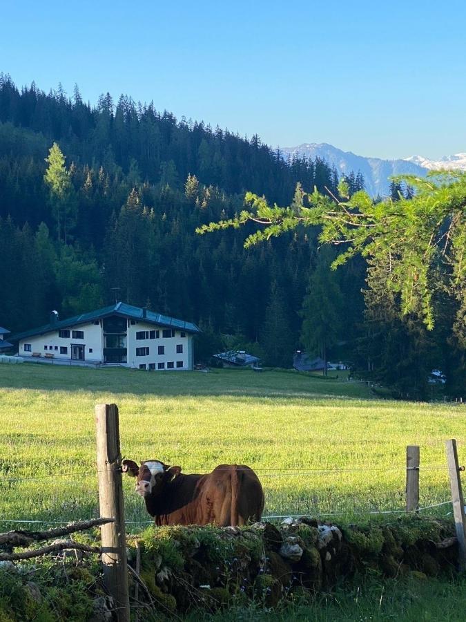 Appartementhaus Hochkönig - Panoramablick Mühlbach am Hochkönig Exterior foto