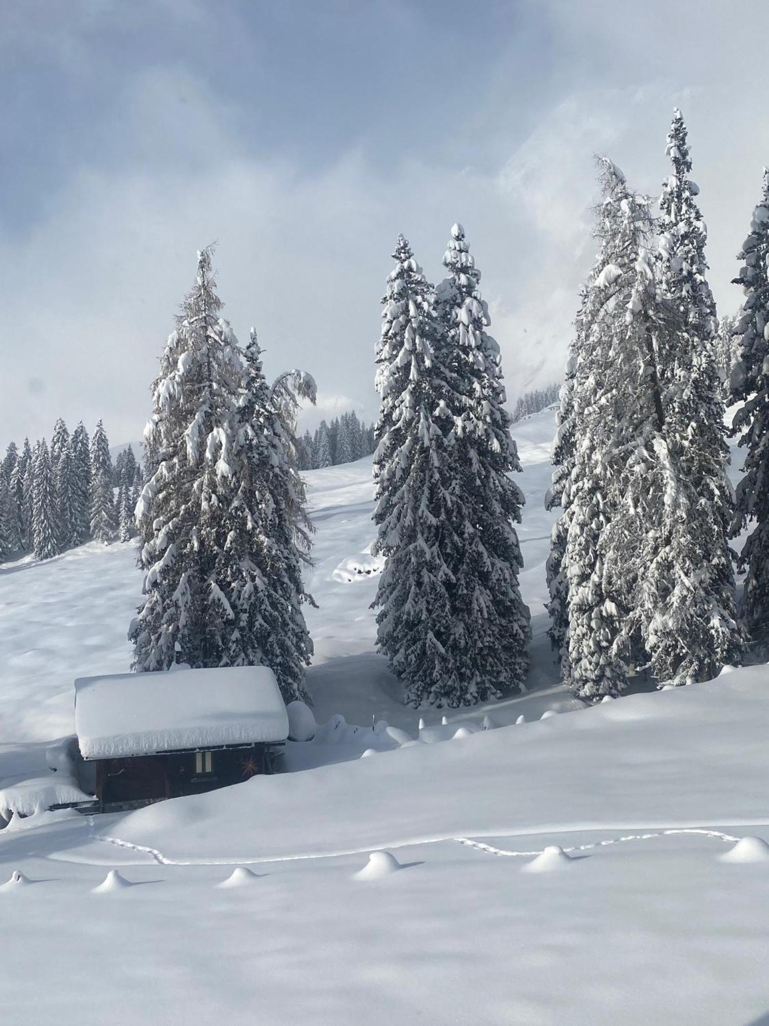 Appartementhaus Hochkönig - Panoramablick Mühlbach am Hochkönig Exterior foto